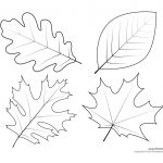 002 Free Printable Leaf Template ~ Ulyssesroom   Free Printable Leaves
