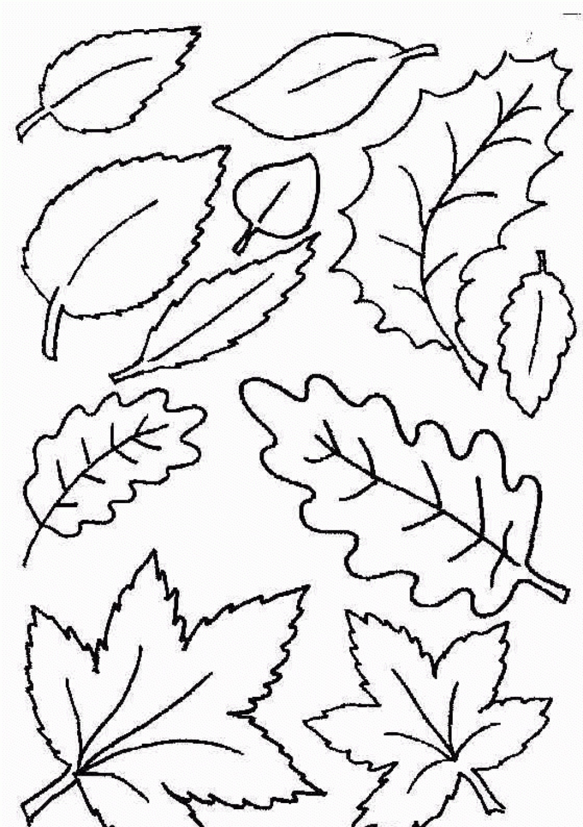 028 Template Ideas Free Printable Leaf Best Fall Leaves Coloring - Free Printable Fall Leaves Coloring Pages