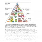 18 Free Esl Food Pyramid Worksheets   Free Printable Food Pyramid