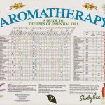 20. Reference Guide Essential Oils And Blends Quick Usage Chart 25   Free Printable Aromatherapy Charts