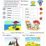 224 Free Esl Seasons Worksheets   Free Printable Seasons Worksheets For Kindergarten