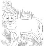 30 Coloring Pages Desert | Coloring Pages | Pinterest | Animal   Free Printable Desert Animals