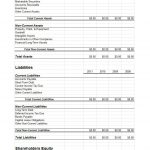 38 Free Balance Sheet Templates & Examples ᐅ Template Lab   Free Printable Finance Sheets