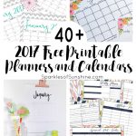 40+ Awesome Free Printable 2017 Calendars And Planners   Sparkles Of   Free Printable Planner 2017