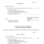 45 Free Promissory Note Templates & Forms [Word & Pdf]   Template Lab   Free Promissory Note Printable Form