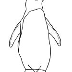 Adelie Penguin Coloring Page | Free Printable Coloring Pages   Free Printable Penguin Books