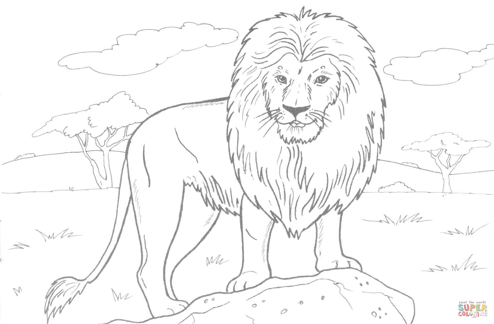 African Lion Coloring Page | Free Printable Coloring Pages - Free Printable Picture Of A Lion