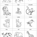 Animal Cards Worksheet   Free Esl Printable Worksheets Madeteachers   Free Printable Animal Cards
