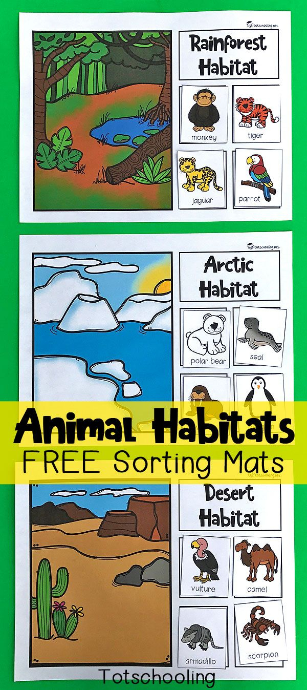 Animal Habitats Sorting Mats | Preschool | Pinterest | Animal - Free Printable Worksheets Animal Habitats