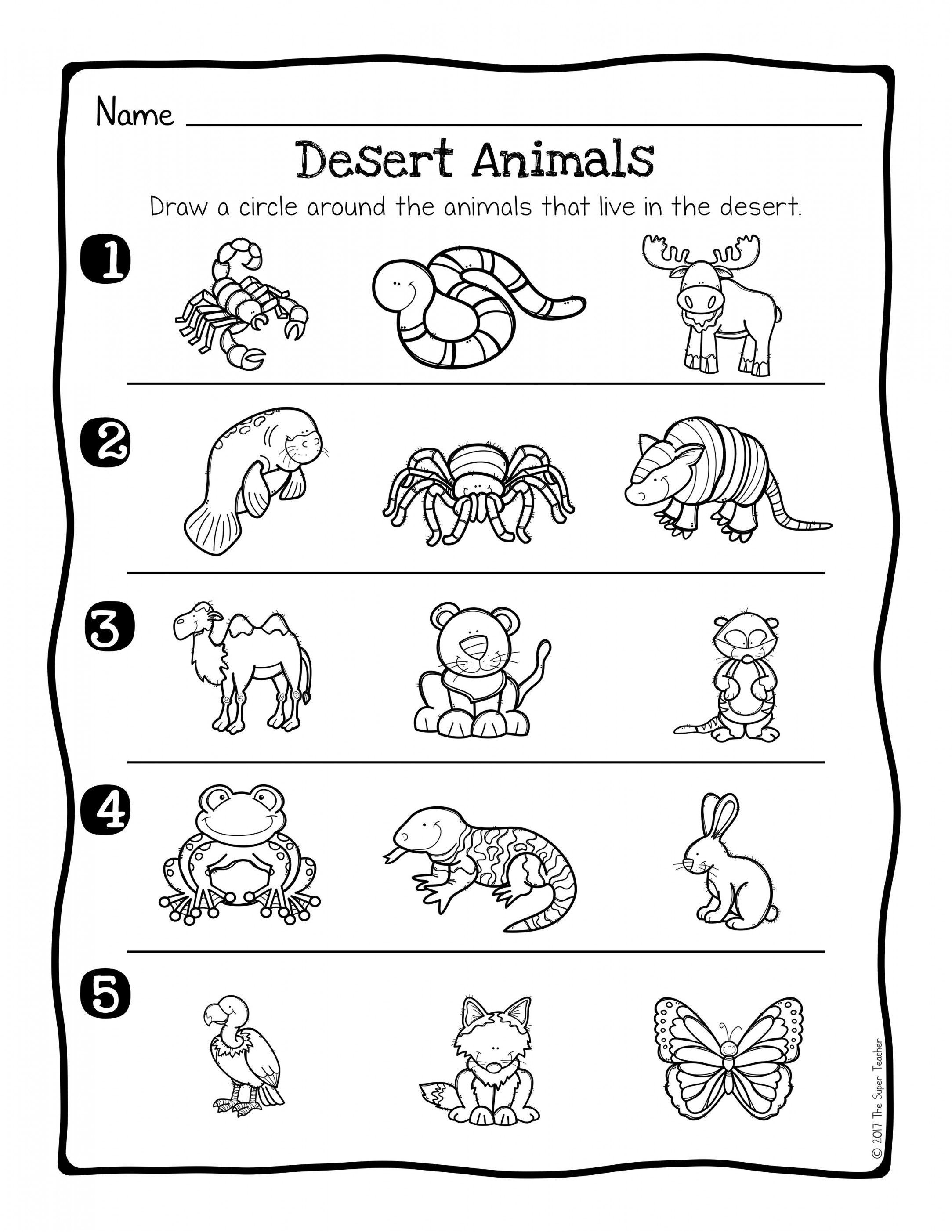 Habitat Worksheets For Grade 4 Pdf