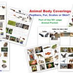 Animals And Their Groups Sorting Cards (Ages 5 8)   Homeschool Den   Free Printable Animal Classification Cards