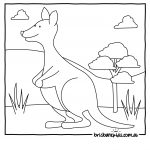 Australian Animals Colouring Pages | Brisbane Kids   Free Printable Pictures Of Australian Animals