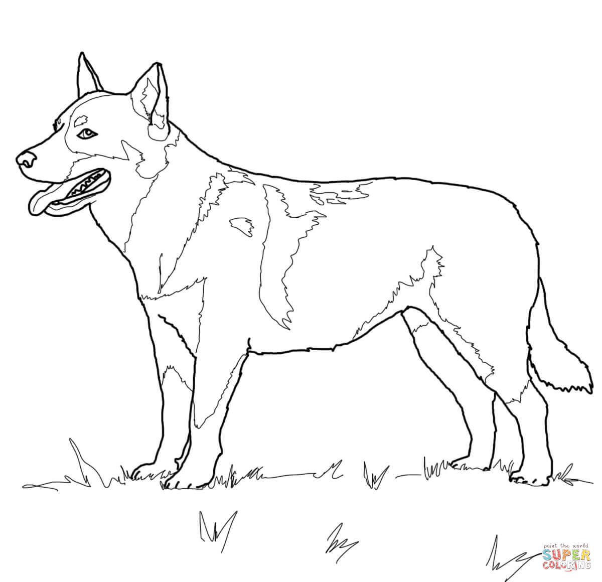 Australian Cattle Dog Coloring Page | Free Printable Coloring Pages - Free Printable Dog Coloring Pages