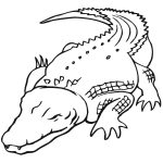 Australian Saltwater Crocodile Coloring Page | Free Printable   Free Printable Pictures Of Crocodiles