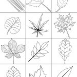 Autumn Leaves Coloring Page | Free Printable Coloring Pages   Free Printable Pictures Of Autumn Leaves