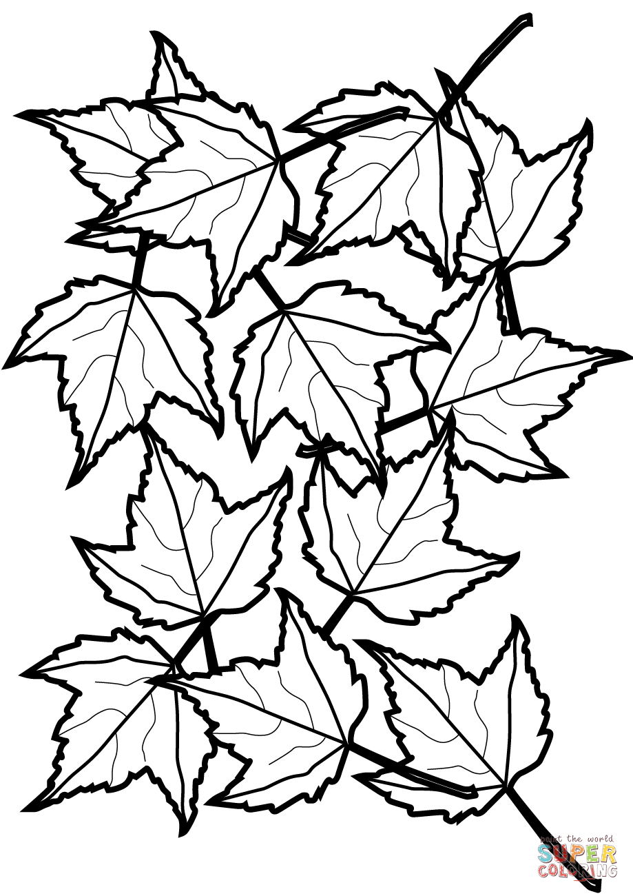 Autumn Maple Leaves Coloring Page | Free Printable Coloring Pages - Free Printable Leaf Coloring Pages