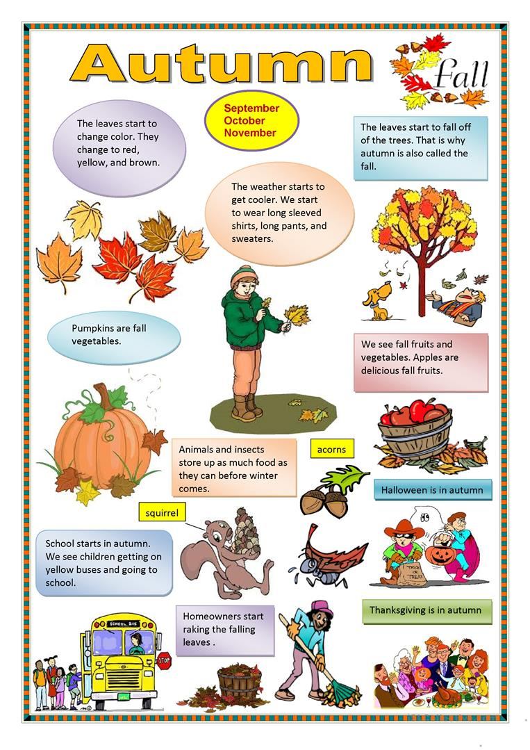 Autumn Theme Worksheets And Printouts. Free Printable Autumn