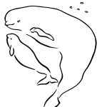 Baby Beluga With Mother Coloring Page | Free Printable Coloring Pages   Free Printable Whale Template
