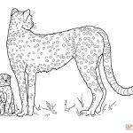 Baby Cheetah And Mother Coloring Page | Free Printable Coloring Pages   Free Printable Cheetah Pictures