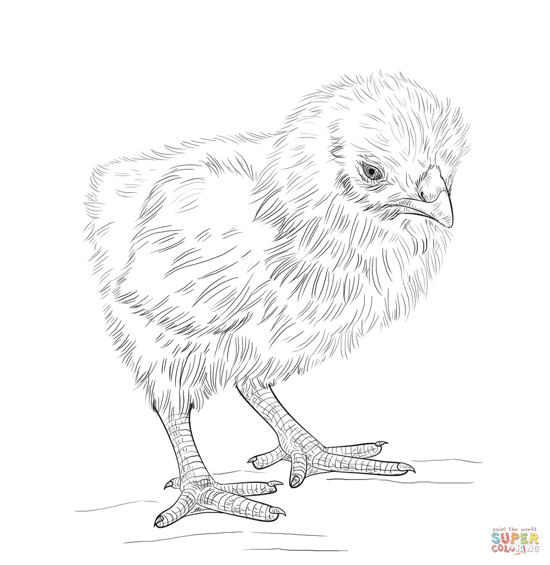 Baby Chicks Coloring Pages | Free Printable Pictures - Free Printable Easter Baby Chick Coloring Pages