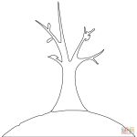 Bare Trees Coloring Pages | Free Printable Pictures   Coloring Home   Tree Coloring Pages Free Printable