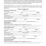 Best Photos Of Blank Illinois Divorce Papers Template Printable   Free Printable Divorce Papers For Illinois