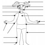 Body Part Worksheet (Boy And Girl) | A To Z Teacher Stuff Printable   Free Printable Human Body Template