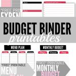 Budget Binder Printables | Thrifty Thursday @ Lwsl | Pinterest   Free Printable Budget Binder