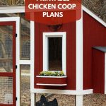 Build A Custom Chicken Coop With Free Printable Plans From Hgtv   Free Printable Chicken Coop Plans
