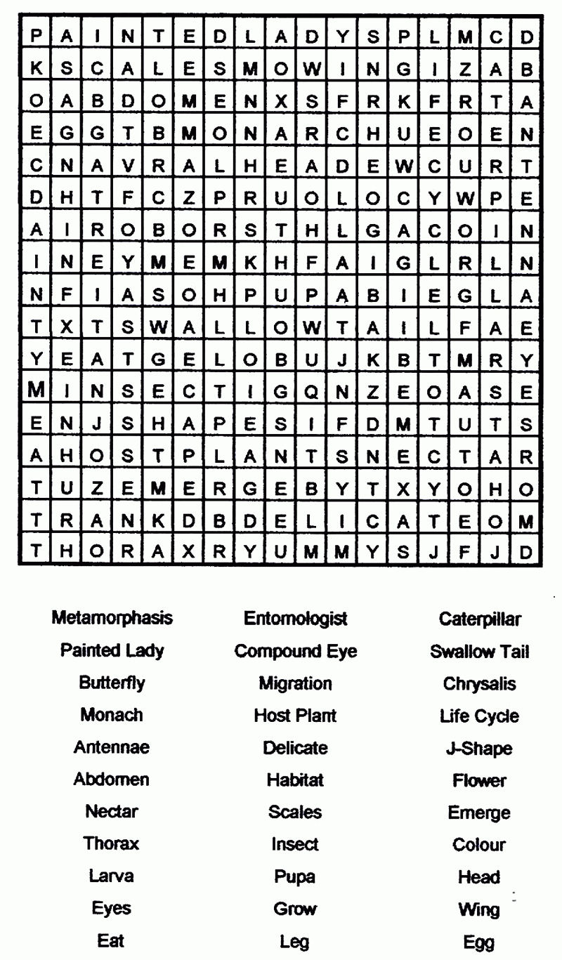 free printable word searches for adults large print