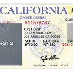 California Drivers License Template Buy Registered Real/fake   Free Printable Fake Drivers License