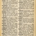 Castle Cat Dictionary Pages   Old Design Shop Blog   Free Printable Book Pages