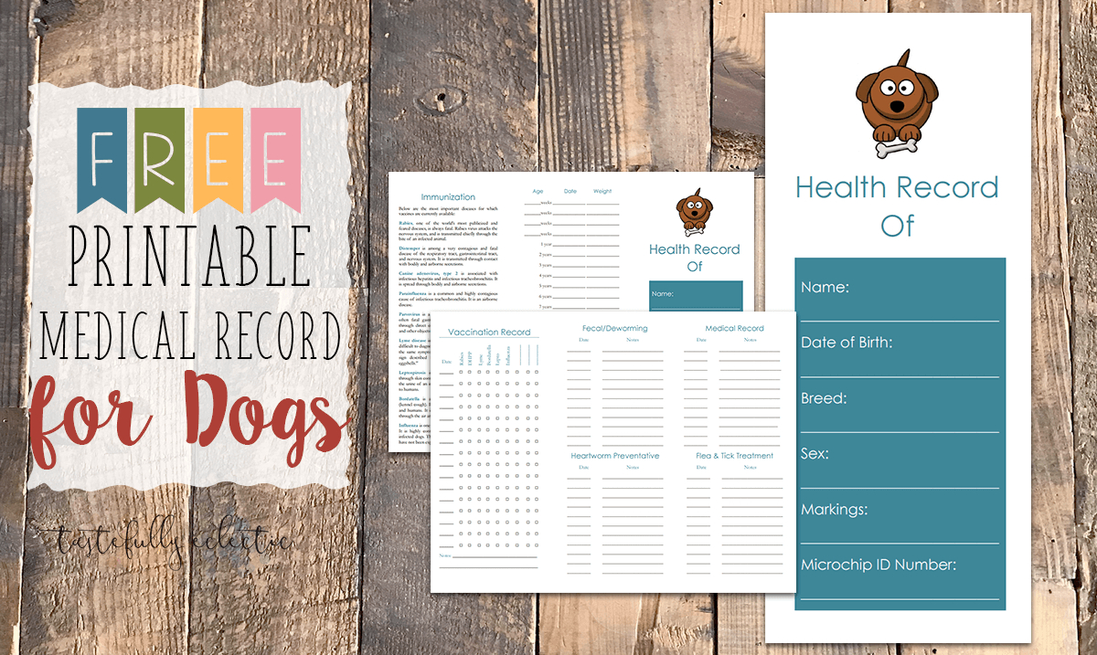 Cat Immunization &amp;amp; Medical Tracker {Free Printable} - Tastefully - Free Printable Pet Health Record