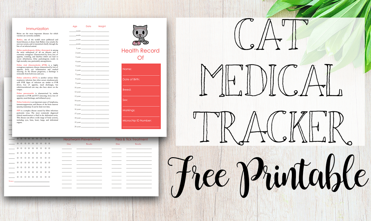Cat Immunization &amp;amp; Medical Tracker {Free Printable} - Tastefully - Free Printable Pet Health Record