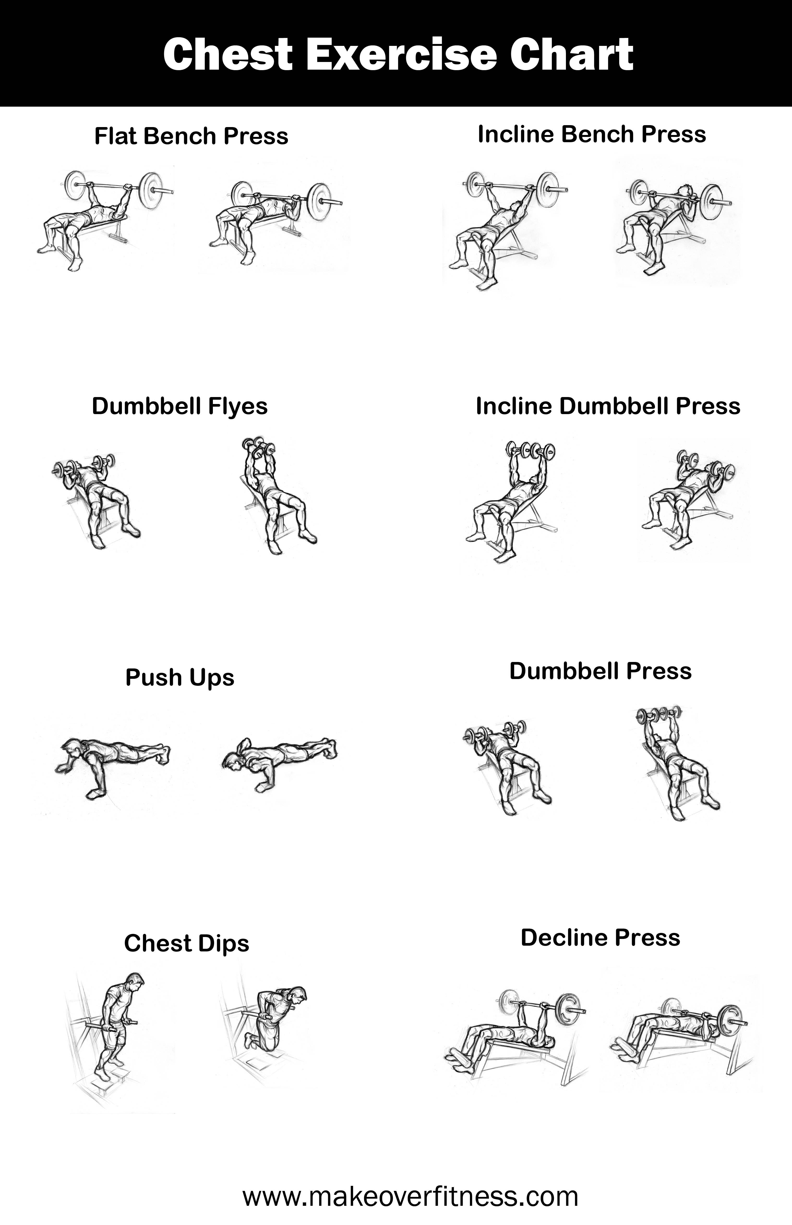 Chest Exercise Chart - Free Printable Gym Workout Routines