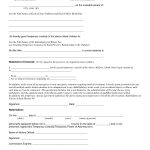 Child Custody Agreement Special Best S Of Temporary Guardianship   Free Printable Temporary Guardianship Form