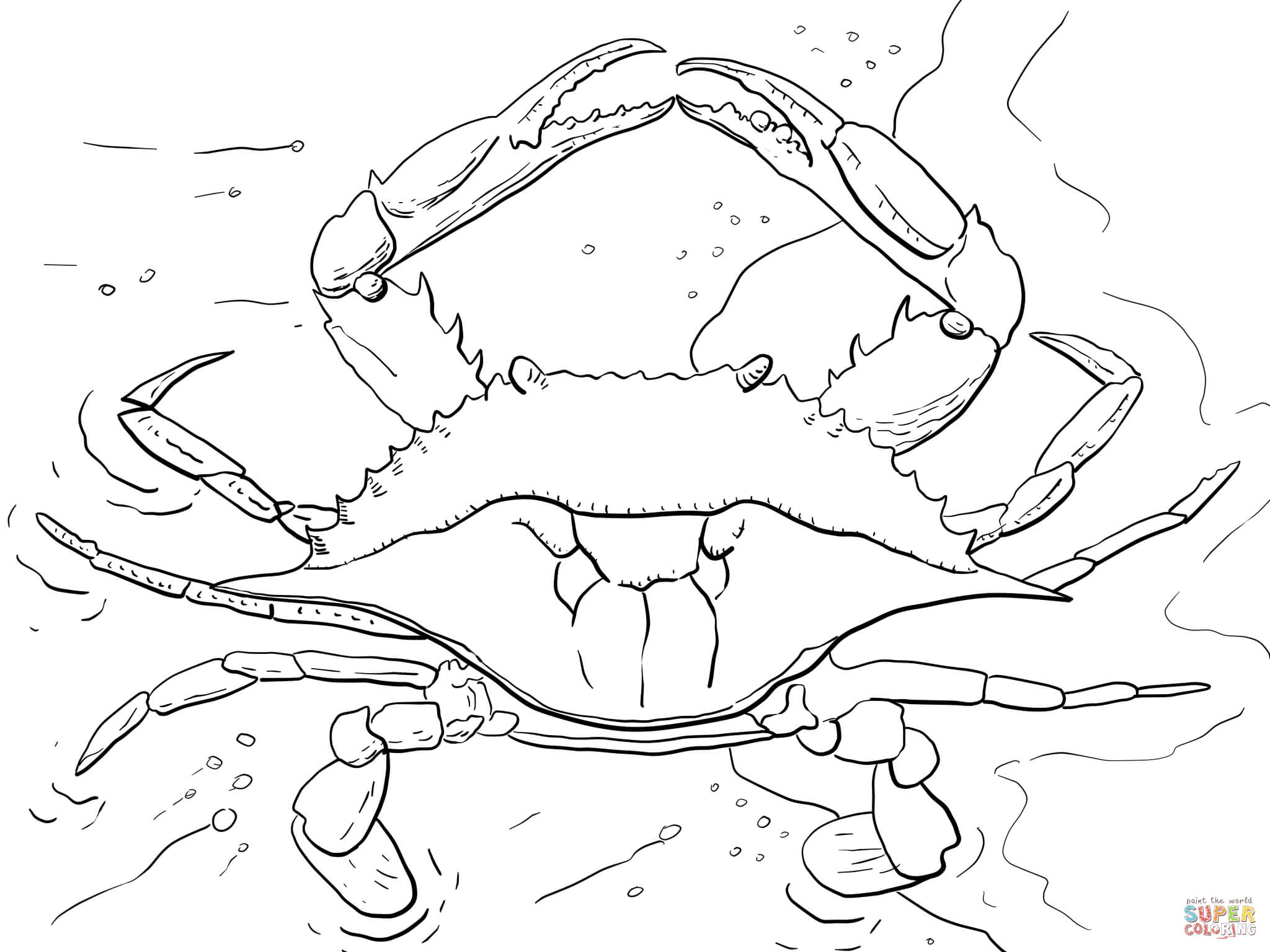 Coloring Pages : Atlantic Ocean Blue Crab Coloring Page Free - Free Printable Horseshoe Coloring Pages