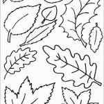 Coloring Pages ~ Autumn Leaves Coloring Pagesee For Kidsautumn   Free Printable Pictures Of Autumn Leaves
