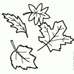 Coloring Pages: Awesome Autumn Leaves Coloring Pages Photo   Free Printable Pictures Of Autumn Leaves