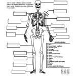 Coloring Pages : Body Coloring Pages For Preschoolers New Crafty   Free Printable Human Anatomy Coloring Pages