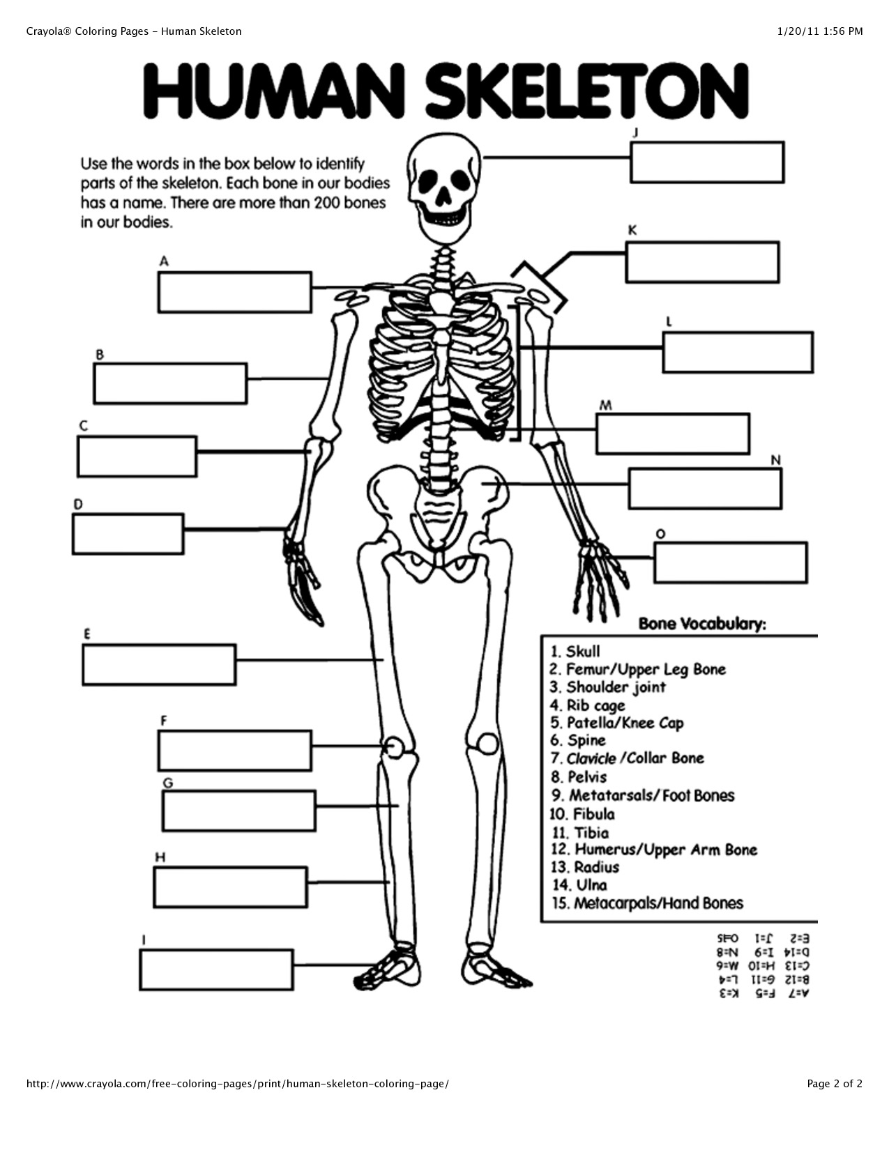 Coloring Pages : Body Coloring Pages For Preschoolers New Crafty - Free Printable Human Anatomy Coloring Pages