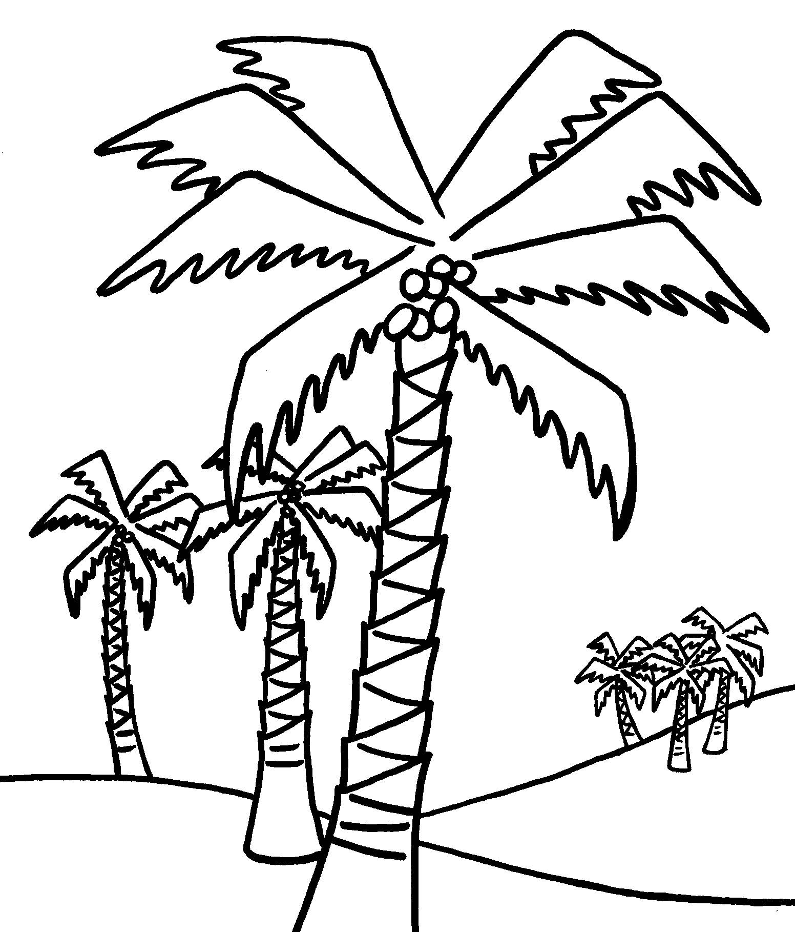 Coloring Pages ~ Chicka Boom Palm Tree Coloring Page Free Printable - Tree Coloring Pages Free Printable