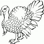 Coloring Pages ~ Color Page Turkey Free Coloring Pages To Print   Free Printable Turkey