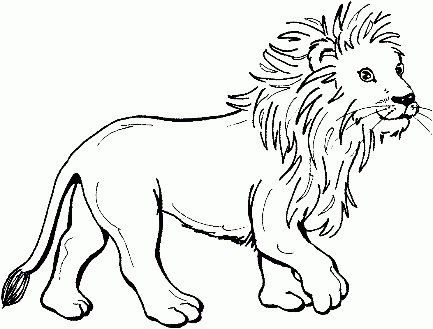 Coloring Pages ~ Lion King Coloring Pages Free Printable Disney - Free Printable Picture Of A Lion