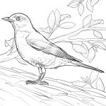 Coloring Pages : Reliable Printable Pictures Of Birds To Color   Free Printable Images Of Birds