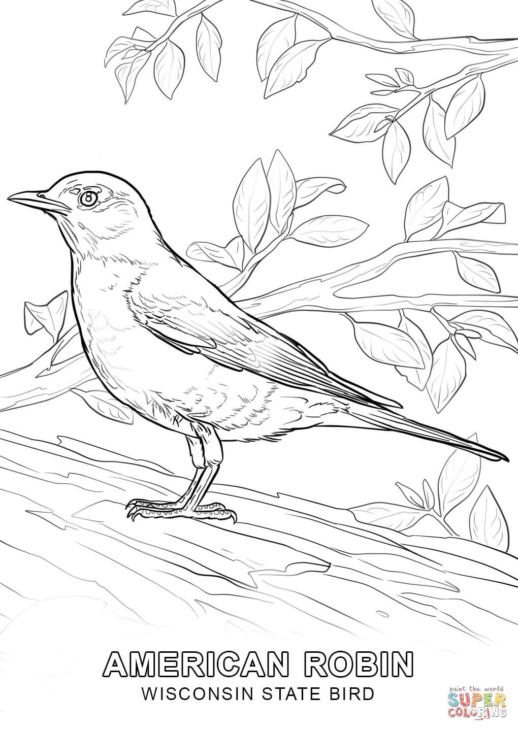 coloring-pages-reliable-printable-pictures-of-birds-to-color-free