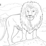 Coloring:coloring Pages Hard Animals Printable Adult Coloring Pages   Free Printable Wild Animal Coloring Pages