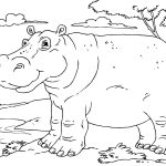 Colouring Pages Hippo Coloring Pages In Painting Free Coloring   Free Printable Hippo Coloring Pages