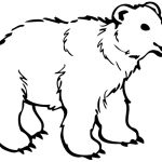 Cute Polar Bear Coloring Pages — Classic Style : Printable Polar   Polar Bear Printable Pictures Free