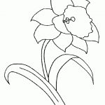 Daffodil Coloring Pages | Clipart Misc | Coloring Pages, Spring   Free Printable Pictures Of Daffodils